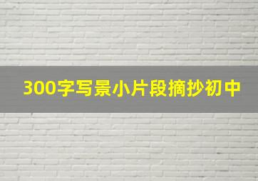 300字写景小片段摘抄初中