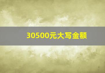 30500元大写金额