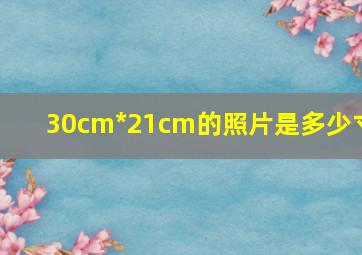 30cm*21cm的照片是多少寸