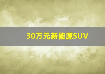 30万元新能源SUV