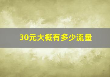 30元大概有多少流量