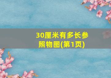 30厘米有多长参照物图(第1页)