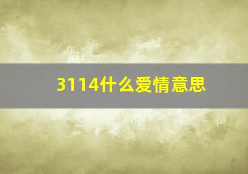 3114什么爱情意思