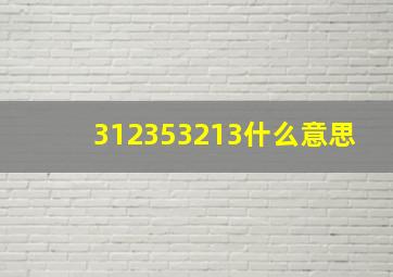 312353213什么意思