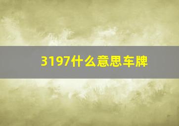 3197什么意思车牌