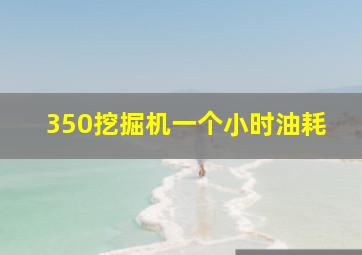 350挖掘机一个小时油耗