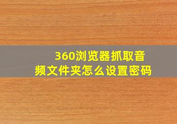 360浏览器抓取音频文件夹怎么设置密码