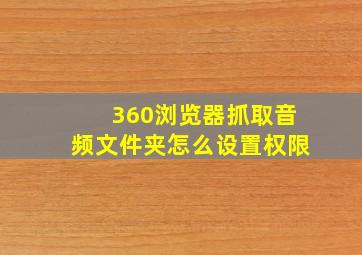 360浏览器抓取音频文件夹怎么设置权限