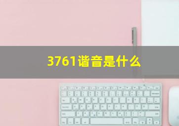 3761谐音是什么