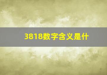 3818数字含义是什