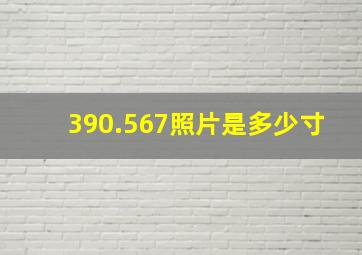 390.567照片是多少寸