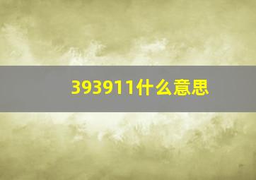 393911什么意思