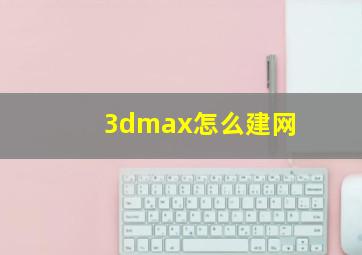 3dmax怎么建网