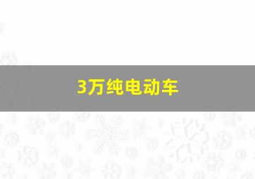 3万纯电动车