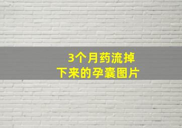 3个月药流掉下来的孕囊图片