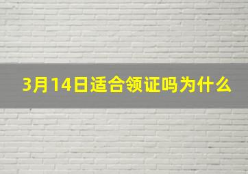 3月14日适合领证吗为什么