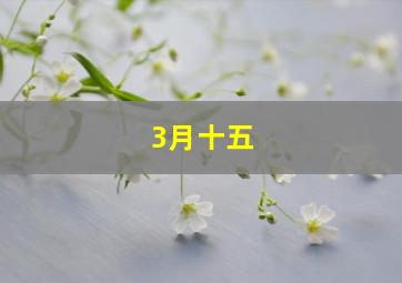 3月十五