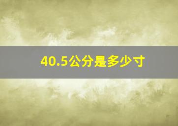 40.5公分是多少寸