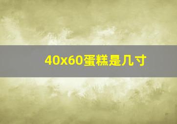 40x60蛋糕是几寸