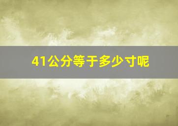 41公分等于多少寸呢