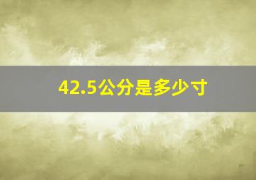 42.5公分是多少寸