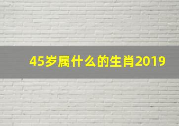 45岁属什么的生肖2019