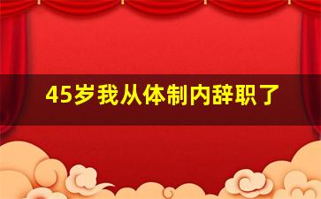 45岁我从体制内辞职了