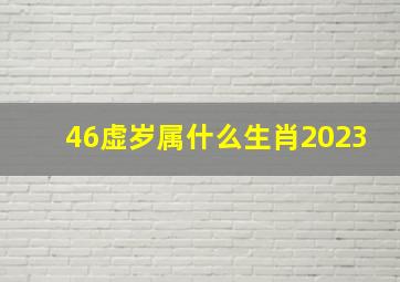 46虚岁属什么生肖2023