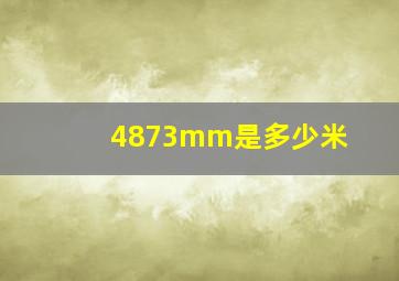 4873mm是多少米