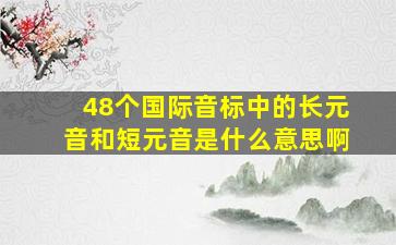 48个国际音标中的长元音和短元音是什么意思啊