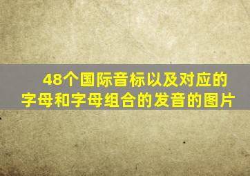 48个国际音标以及对应的字母和字母组合的发音的图片