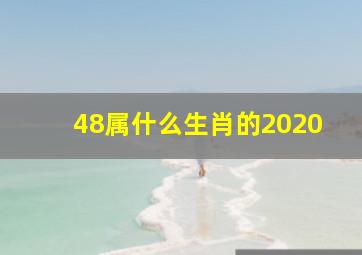 48属什么生肖的2020