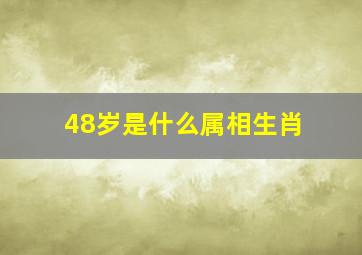 48岁是什么属相生肖