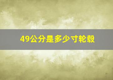 49公分是多少寸轮毂