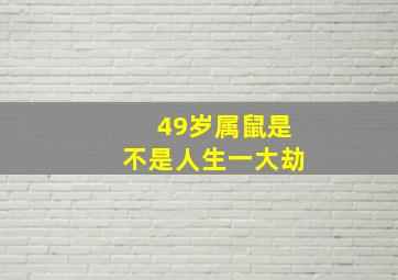 49岁属鼠是不是人生一大劫