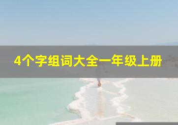 4个字组词大全一年级上册