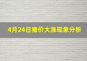 4月24日猪价大涨现象分析