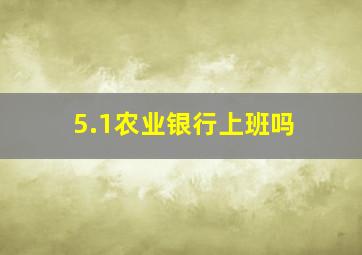 5.1农业银行上班吗