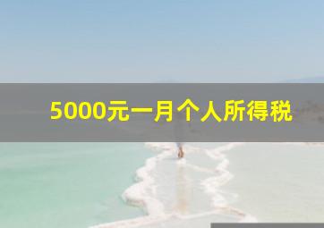 5000元一月个人所得税