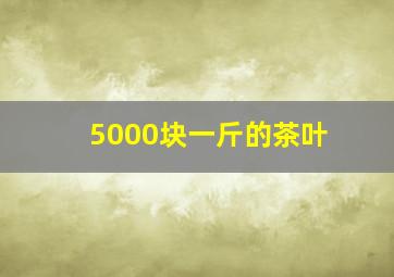 5000块一斤的茶叶