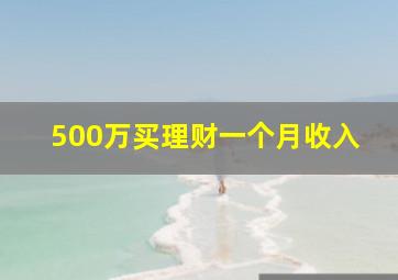 500万买理财一个月收入