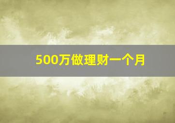 500万做理财一个月