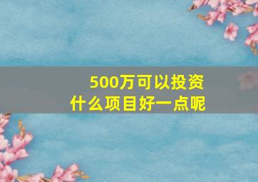 500万可以投资什么项目好一点呢