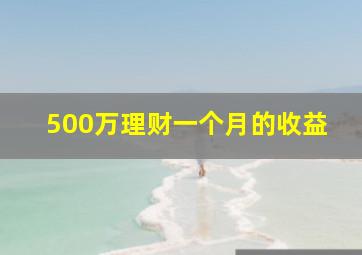 500万理财一个月的收益