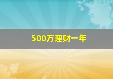 500万理财一年