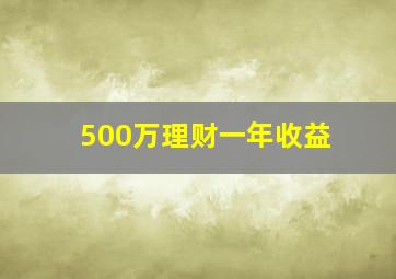 500万理财一年收益