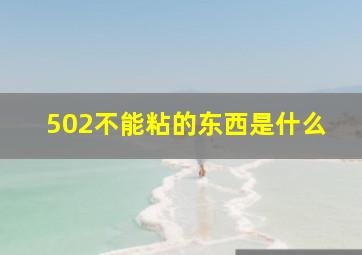 502不能粘的东西是什么