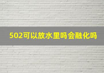 502可以放水里吗会融化吗