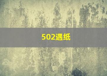 502遇纸