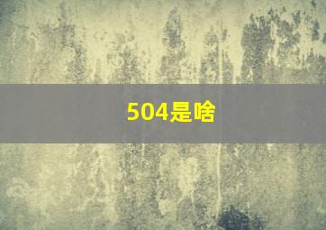 504是啥